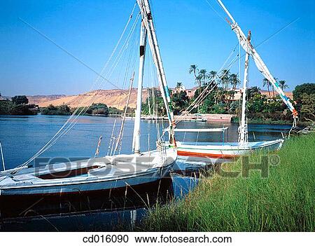 Sailboats. Elephantine Island. Nubia. Egypt View Large Photo Image Stock Image - Sailboats. Elephantine Island. Nubia. Egypt. Fotosearch