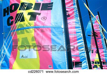 Sails. Gosier. Grande Terre. Guadalupe. West Indies. Caribbean View Large Photo Image Stock Image - Sails. Gosier. Grande Terre. Guadalupe. West Indies. Caribbean. Fotosearch