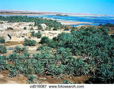 Siwa Oasis. Lybian Desert. Egypt View Large Photo Image Stock Photo - Siwa Oasis. Lybian Desert. Egypt. Fotosearch
