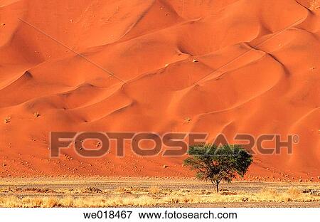 Sossusvlei dunes. Namib-Naukluft Park. Namibia View Large Photo Image Stock Photo - Sossusvlei dunes. Namib-Naukluft Park. Namibia. Fotosearch