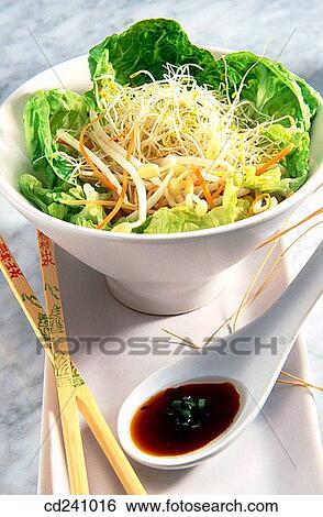 Sprout salad View Large Photo Image Stock Photograph - Sprout salad. Fotosearch