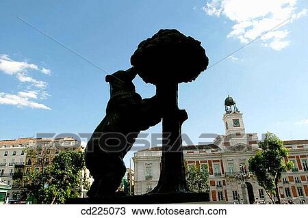 Statue of bear and? madro±o? tree (Madrid's symbol) at Puerta del Sol. Madrid. Spain View Large Photo Image Stock Image - Statue of bear and? madro±o? tree (Madrid's symbol) at Puerta del Sol. Madrid. Spain. Fotosearch