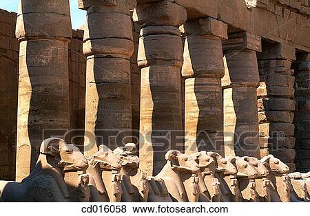 Statues of rams, ruins of temple. Karnak. Egypt View Large Photo Image Stock Photo - Statues of rams, ruins of temple. Karnak. Egypt. Fotosearch