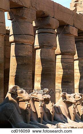 Statues of rams, ruins of temple. Karnak. Egypt View Large Photo Image Stock Photo - Statues of rams, ruins of temple. Karnak. Egypt. Fotosearch
