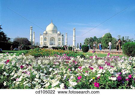 Taj Mahal. Agra. Uttar Pradesh, India View Large Photo Image Stock Image - Taj Mahal. Agra. Uttar Pradesh, India. Fotosearch