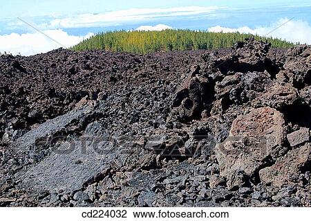 Teide National Park. Tenerife. Canary Islands. Spain View Large Photo Image Stock Image - Teide National Park. Tenerife. Canary Islands. Spain. Fotosearch