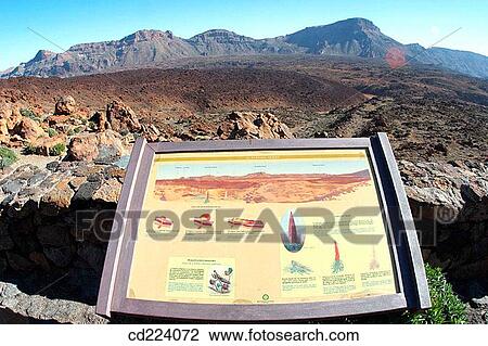 Teide National Park. Tenerife. Canary Islands. Spain View Large Photo Image Stock Image - Teide National Park. Tenerife. Canary Islands. Spain. Fotosearch