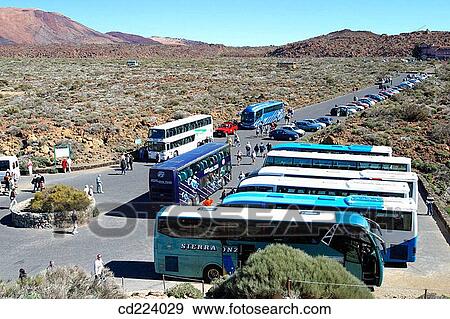Teide National Park. Tenerife. Canary Islands. Spain View Large Photo Image Stock Photo - Teide National Park. Tenerife. Canary Islands. Spain. Fotosearch