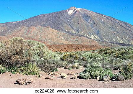 Teide National Park. Tenerife. Canary Islands. Spain View Large Photo Image Stock Photograph - Teide National Park. Tenerife. Canary Islands. Spain. Fotosearch