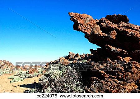 Teide National Park. Tenerife. Canary Islands. Spain View Large Photo Image Stock Photography - Teide National Park. Tenerife. Canary Islands. Spain. Fotosearch
