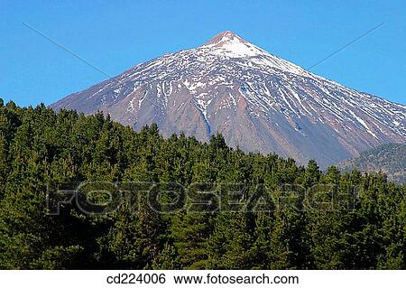 Teide. Tenerife. Canary Islands. Spain View Large Photo Image Stock Photograph - Teide. Tenerife. Canary Islands. Spain. Fotosearch