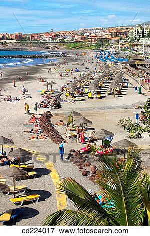 Torviscas beach. Adeje. Tenerife. Canary Islands. Spain View Large Photo Image Stock Photo - Torviscas beach. Adeje. Tenerife. Canary Islands. Spain. Fotosearch