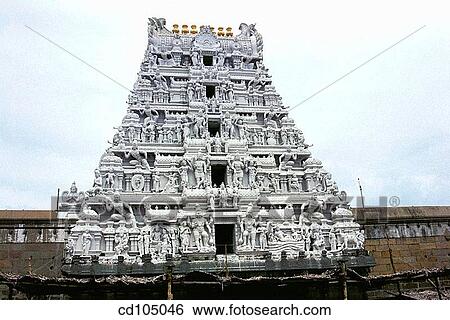 Venkateswara (also called Balaji) Temple. Tirupati. Andhra Pradesh, India View Large Photo Image Stock Photograph - Venkateswara (also called Balaji) Temple. Tirupati. Andhra Pradesh, India. Fotosearch