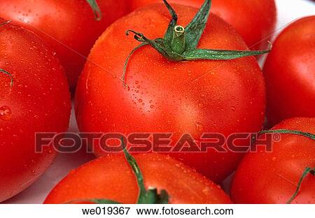Stock Photo - Vine ripened tomatoes. Fotosearch