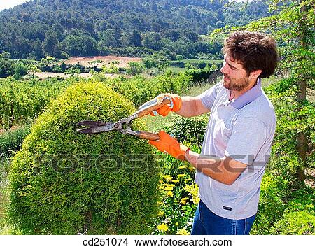 activity, contemporary, beard, ability View Large Photo Image Picture - activity, contemporary, beard, ability. Fotosearch