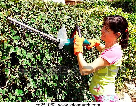 activity, cut, contemporary, 30's View Large Photo Image Stock Image - activity, cut, contemporary, 30's. Fotosearch