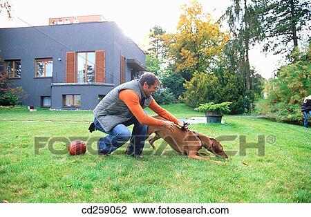 affection, caressing, caress, animal, 30's View Large Photo Image Stock Image - affection, caressing, caress, animal, 30's. Fotosearch
