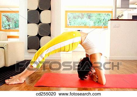 agile, attractive, at-home, agility, activity View Large Photo Image Stock Image - agile, attractive, at-home, agility, activity. Fotosearch