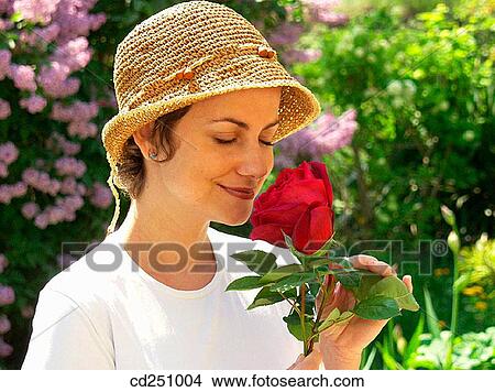Picture - allergy, bloom, beauty, aroma, 30's. Fotosearch