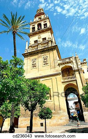 Alminar Tower, once minaret of Great Mosque of Cordoba, seen from the Patio de los Naranjos. Andalusia, Spain View Large Photo Image Stock Image - Alminar Tower, once minaret of Great Mosque of Cordoba, seen from the Patio de los Naranjos. Andalusia, Spain. Fotosearch