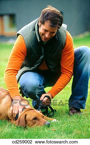 animal, caressing, caress, bound, 30's View Large Photo Image Stock Image - animal, caressing, caress, bound, 30's. Fotosearch