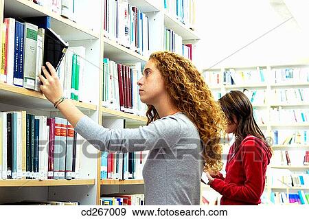 arrangement, bookcase, book, adolescence View Large Photo Image Stock Photo - arrangement, bookcase, book, adolescence. Fotosearch