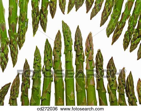 Stock Photograph - Asparagus. Fotosearch