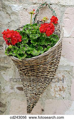 Stock Photograph - Assisi. Umbria, Italy. Fotosearch