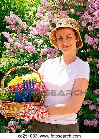 Stock Image - assorted, bloom, beauty, basket, 30's. Fotosearch