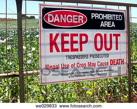 Australia, farm, crop, Cash crop, agriculture View Large Photo Image Stock Image - Australia, farm, crop, Cash crop, agriculture. Fotosearch