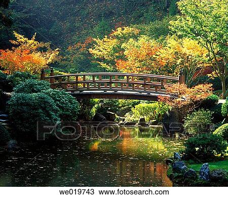 Autumn foliage reflected in pond at Japanese Gardens, Portland. Multnomah county, Oregon. USA. View Large Photo Image Stock Image - Autumn foliage reflected in pond at Japanese Gardens, Portland. Multnomah county, Oregon. USA.. Fotosearch