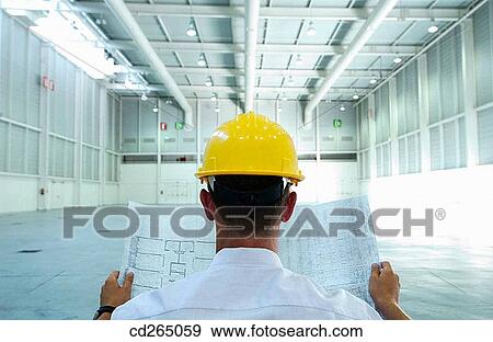 back view, blueprint, business, businessman, businesspeople View Large Photo Image Stock Photo - back view, blueprint, business, businessman, businesspeople. Fotosearch