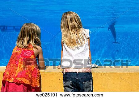 back view, childhood, child, blond, aquarium View Large Photo Image Stock Image - back view, childhood, child, blond, aquarium. Fotosearch