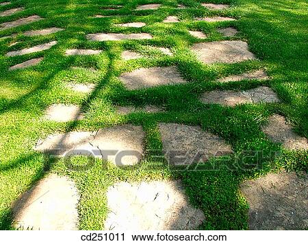 background, concept, day, detail, garden View Large Photo Image Stock Image - background, concept, day, detail, garden. Fotosearch