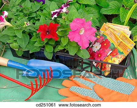 bag, Close-up, concept, day, flower View Large Photo Image Stock Image - bag, Close-up, concept, day, flower. Fotosearch