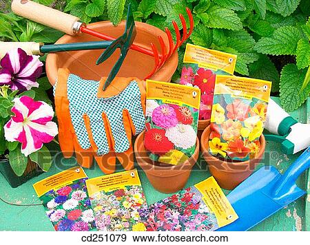 bag, Close-up, concept, day, flower View Large Photo Image Stock Photo - bag, Close-up, concept, day, flower. Fotosearch