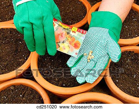 bag, Close-up, day, detail View Large Photo Image Stock Image - bag, Close-up, day, detail. Fotosearch