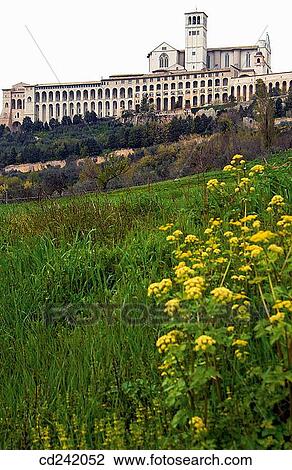 Basilica of Saint Francis. Assisi. Umbria, Italy View Large Photo Image Stock Image - Basilica of Saint Francis. Assisi. Umbria, Italy. Fotosearch