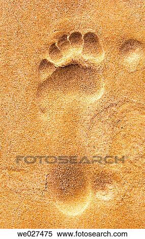 Stock Photography - beach, Close-up, concept, day, ephemeral. Fotosearch