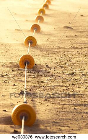 beach, concept, day, detail, float View Large Photo Image Stock Photograph - beach, concept, day, detail, float. Fotosearch