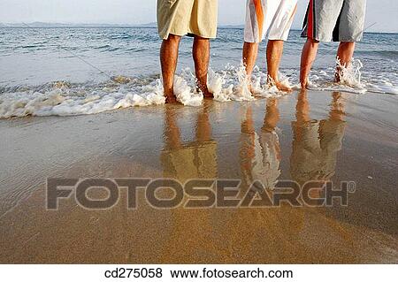 beach, contemporary, companion, anonymous View Large Photo Image Stock Photo - beach, contemporary, companion, anonymous. Fotosearch