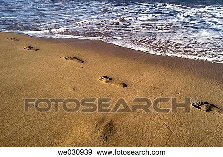 Stock Photo - Beach footprints. Fotosearch