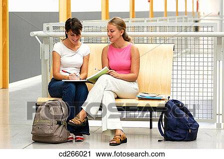 bench, collaboration, book, adolescence View Large Photo Image Stock Image - bench, collaboration, book, adolescence. Fotosearch