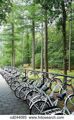 Stock Image - Bike parking, Het Nationale Park De Hoge Veluwe. Gelderland, Netherlands. Fotosearch