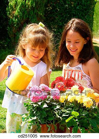 bloom, Caretake, Care take, blossom, amusement View Large Photo Image Stock Photography - bloom, Caretake, Care take, blossom, amusement. Fotosearch