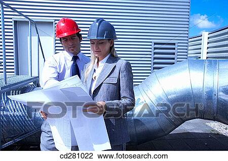 blueprint, colleague, architect View Large Photo Image Stock Image - blueprint, colleague, architect. Fotosearch