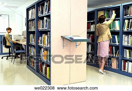 book, bookcase, brunette, business, businesspeople View Large Photo Image Stock Photo - book, bookcase, brunette, business, businesspeople. Fotosearch