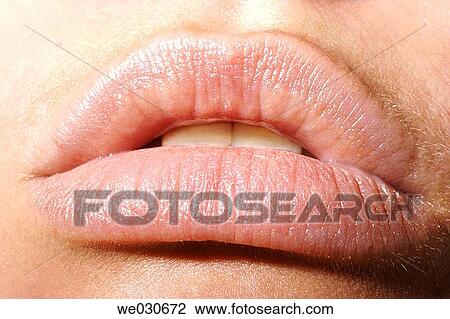 Stock Image - carnality, Close-up, contemporary. Fotosearch
