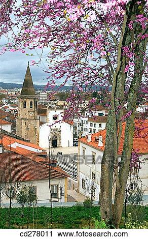 Church of St. John the Baptist, Tomar. District of Santar? m, Portugal View Large Photo Image Stock Image - Church of St. John the Baptist, Tomar. District of Santar? m, Portugal. Fotosearch