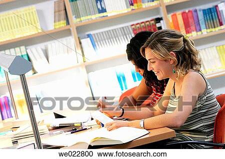 college, companion, adolescence View Large Photo Image Stock Image - college, companion, adolescence. Fotosearch